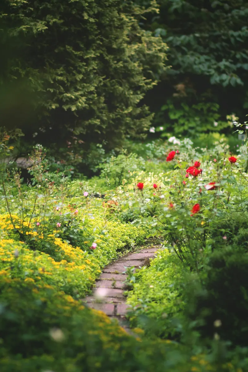 Signature style demo — garden path with greenery and roses